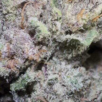 Platinum Ice Berry (Indica)