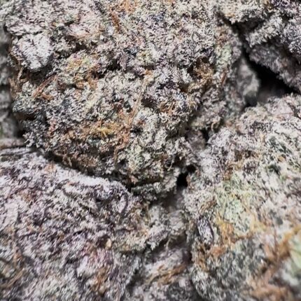 Raspberry (Indica)