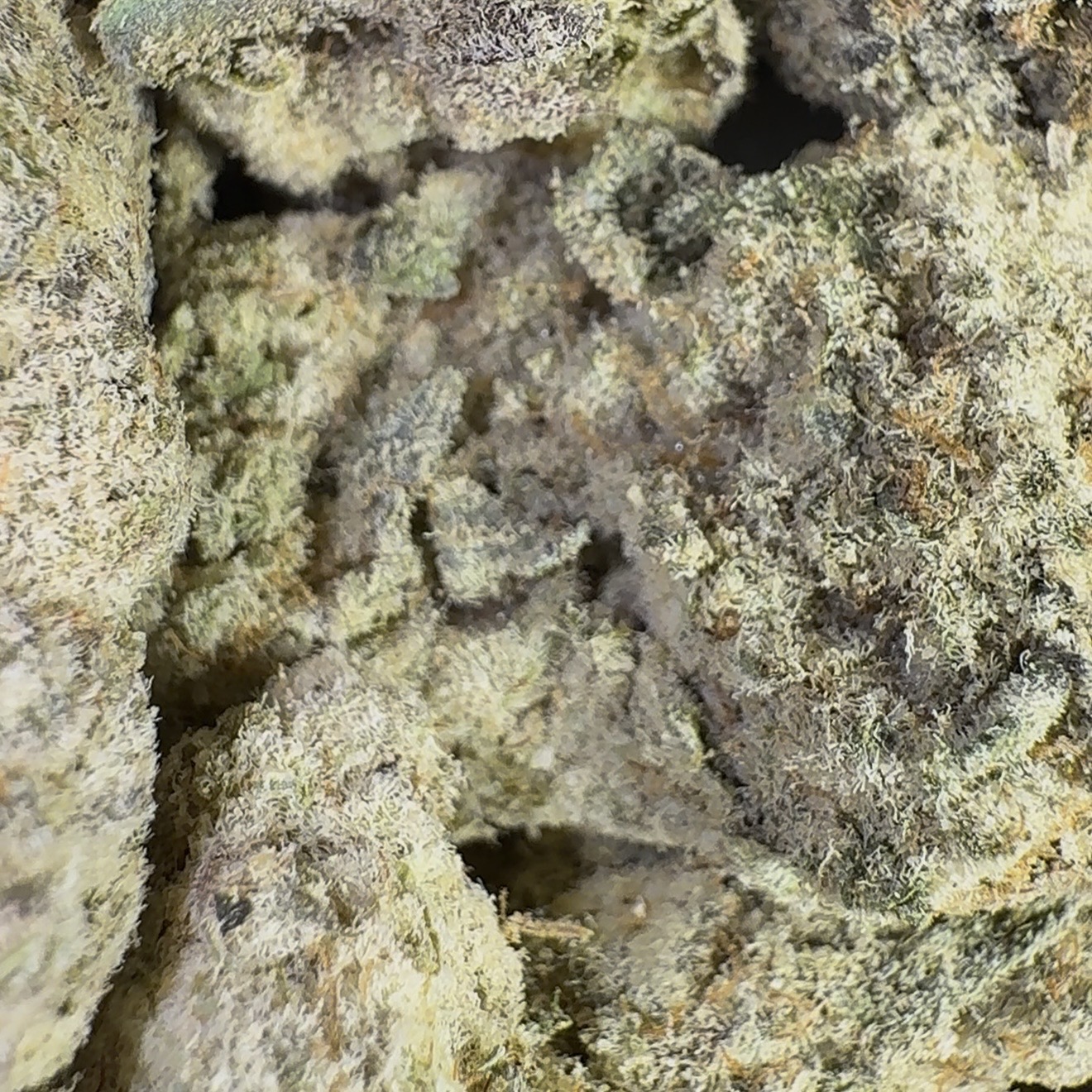 Kills Cake Haze (Sativa)