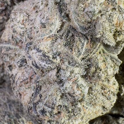 Triple Kush (Hybrid)