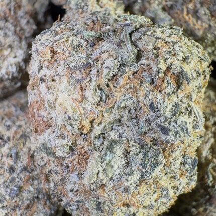 Strawberry Punch (Hybrid)