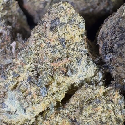 Mint Chocolate Chip (Hybrid)