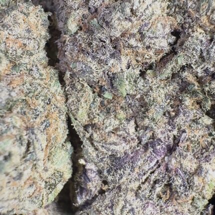 Blackberry Haze | 3.5 Grams | Sativa