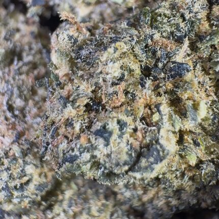 OG Kushberry (Hybrid)