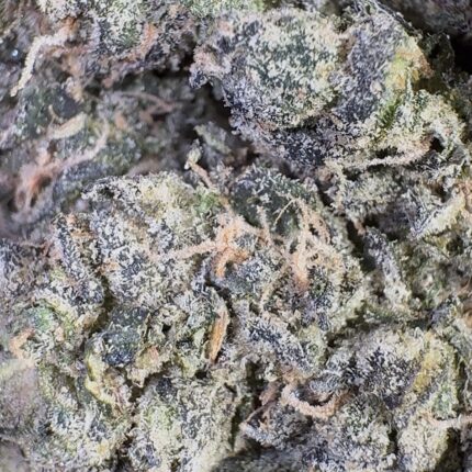 Cherry Moonshine | 3.5 Grams | Hybrid