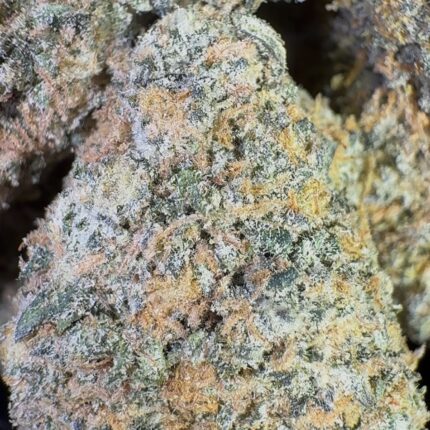 Bambino | 3.5 Grams | Hybrid