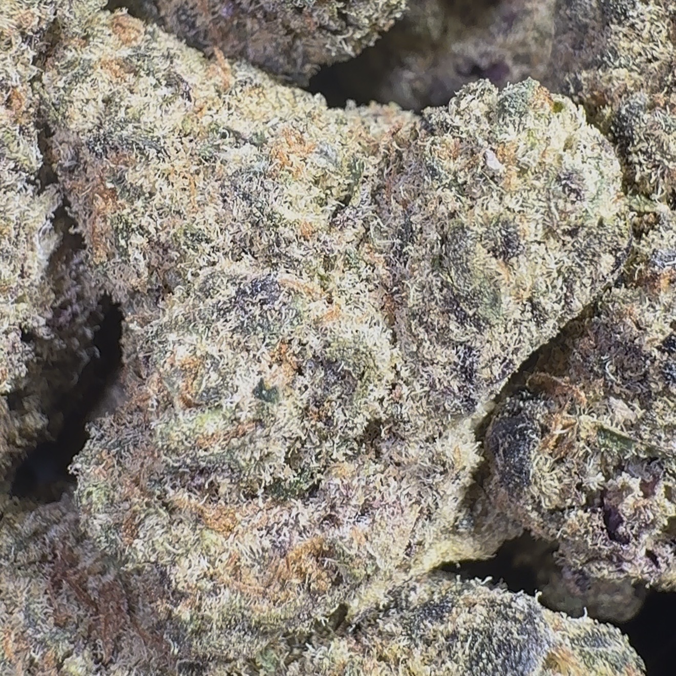 Secret Sauce (Hybrid)